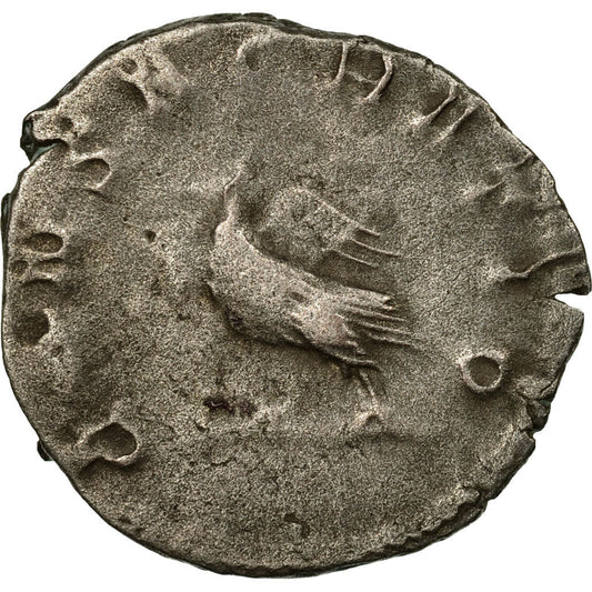 Münze,
Baldrian II.,
Antoninianus