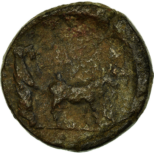 Münze,
Drusus,
Bronze Æ