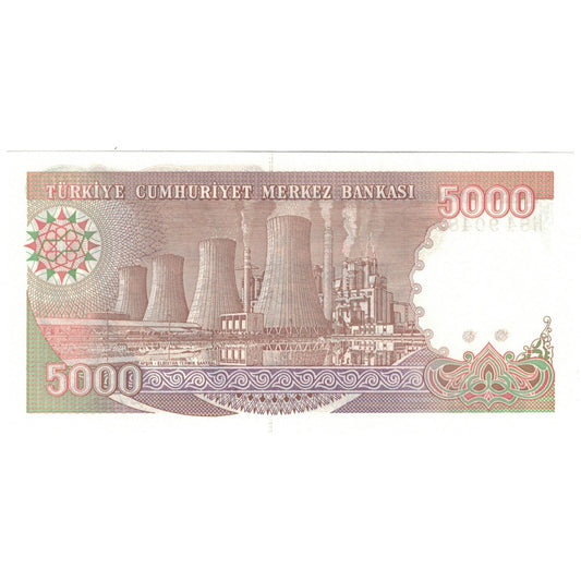 Banknote,
Truthahn,
5000 Lira